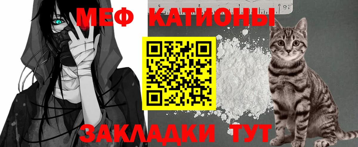 Меф  Гатчина