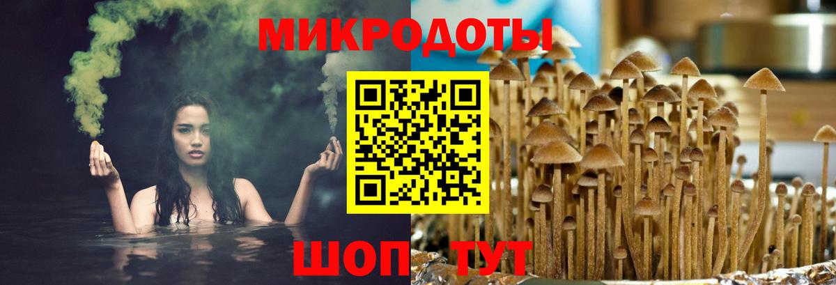 Галлюциногенные грибы ЛСД  Вход с VPN  Гатчина 